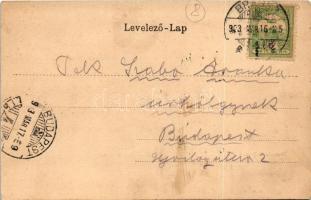 1903 Brassó, Kronstadt, Brasov; Villa Kertsch / street view, villa (EM)