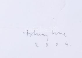 Tolnay Imre (1968-): Szavak sodra I., 2004. Litográfia, papír, jelzett, IV/VIII számozással. Üvegeze...