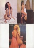 5 db MODERN megíratlan erotikus képeslap: meztelen hölgyek / 5 modern unused erotic nude lady postcards