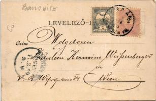 1900 Bán, Trencsénbán, Tr. Baán, Bánovce nad Bebravou; Erzsébet fő tér télen. Fuchs Vilmos kiadása /...