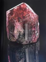 Buzár Ágota (szerk.): 220 év kincsei. A Magyar Természettudományi Múzeum gyűjteményei. Budapest, 202...