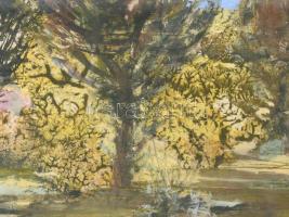 Scholz Erik (1926-1995): Erdő szélén. Olaj, farost, jelezve balra lent, hátoldalán Szőnyi István Alk...