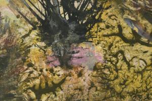 Scholz Erik (1926-1995): Erdő szélén. Olaj, farost, jelezve balra lent, hátoldalán Szőnyi István Alk...