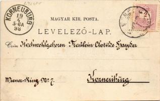 1898 Igló, Zipser Neudorf, Spisská Nová Ves; főgimnázium, városház, állami tanítóképezde, Városi tor...