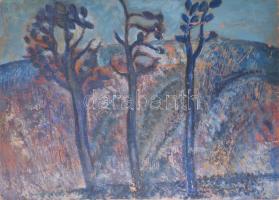 Bakányi Gyula (1955-): Hársfa. Olaj, farost, jelezve jobbra lent, hátoldalán címkén feliratozott, 50×70 cm