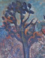 Bakányi Gyula (1955-): Hársfa. Olaj, farost, jelezve jobbra lent, hátoldalán címkén feliratozott, 50...