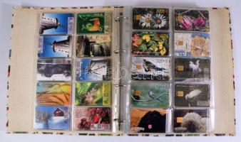 kb 250 darabos magyar telefonkártya gyűjtemény, szépen rendezve, berakóban, komplett sorokkal