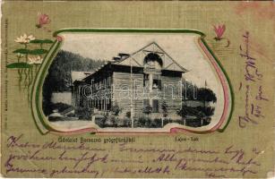1904 Borosznófürdő, Brusno-kúpele (Borosznó, Brusznó, Brusno); Lajos lak. Szecessziós-virágos keret. Lechnitzky O. fénynyomdája kiadása / spa villa. Art Nouveau floral frame (Rb)