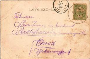 1904 Borosznófürdő, Brusno-kúpele (Borosznó, Brusznó, Brusno); Lajos lak. Szecessziós-virágos keret....