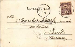 Igló, Zipser Neudorf, Spisská Nová Ves; Állami segély. evangélikus főgimnázium. Csetényi Emil kiadás...