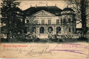 1904 Nagymihály, Michalovce; Gróf Sztáray kastély / castle (Rb)