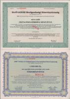 1999. "D&amp;D Drótáru és Drótkötél Ipari és Kereskedelmi Részvénytársaság" törzsrészvénye 1.000.000Ft-ról, "MINTA" bélyegzéssel és "000"-ás sorszámmal + 2000. "Sajó-Agrár Mezőgazdasági Részvénytársaság" osztalékelsőbbségi részvénye 1000Ft-ról, "MINTA" bélyegzéssel és "000"-ás sorszámmal T:AU