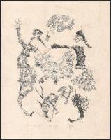 Banga Ferenc (1947-): A Duna partján. Lito-ofszet, papír, jelzett, művészpéldány E.A. III/XX számozással, 29x23 cm. A 2001-ben megjelent In passing/Menet közben c. mappából.