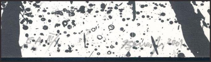 Benes József (1938-2017): Dunapart. Lito-ofszet, papír, jelzett, művészpéldány E.A. III/X (?) számoz...