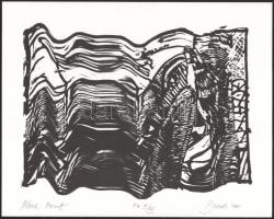 Butak András (1948-2021): Black Mount. Lito-ofszet, papír, jelzett, művészpéldány E.A. III/XX számozással, 23x29 cm. A 2001-ben megjelent In passing/Menet közben c. mappából.