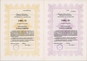 1991. "Hegyalja Mg. Tsz. Bekecs" szövetkezeti vagyonrész 1000Ft-ról + "Hegyalja Mg. Tsz. Bekecs" szövetkezeti vagyonrész 5000Ft-ról + "Hegyalja Mg. Tsz. Bekecs" szövetkezeti vagyonrész 10.000Ft-ról + "Hegyalja Mg. Tsz. Bekecs" szövetkezeti vagyonrész 50.000Ft-ról + "Hegyalja Mg. Tsz. Bekecs" szövetkezeti vagyonrész 100.000Ft-ról T:AU