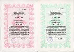 1991. "Hegyalja Mg. Tsz. Bekecs" szövetkezeti vagyonrész 1000Ft-ról + "Hegyalja Mg. T...