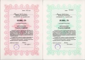 1991. "Hegyalja Mg. Tsz. Bekecs" szövetkezeti vagyonrész 1000Ft-ról + "Hegyalja Mg. T...