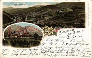 1900 Sinaia, Vedere generala, Monastirea / general view, monastery. Carol Müller Art Nouveau, floral, litho (Rb)