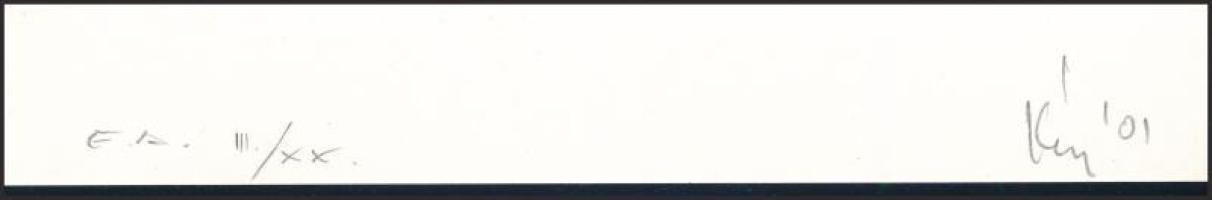 Kéry (Kéri) Bálint Bence (1969-): Csoportkép (olvashatatlan címmel). Lito-ofszet, papír, jelzett, mű...