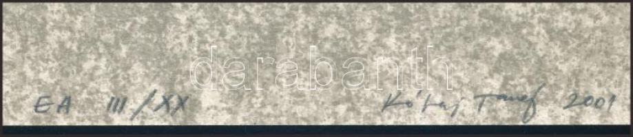 Kótai Tamás (1959-): Rajz. Lito-ofszet, papír, jelzett, művészpéldány E.A. III/XX számozással, 29x23...