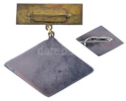 1975 k. "Hűségért / C10 (10 éves váci Dunai Cement Művek)" öntött, ezüstözött bronz törzsg...