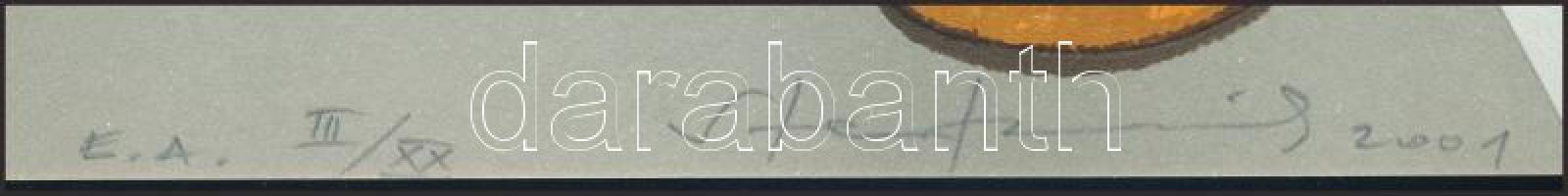 Stefanovits Péter (1947- ): Időben. Lito-ofszet, papír, jelzett, művészpéldány E.A. III/XX számozáss...