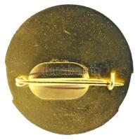 1903 k. "A Szakszervezetért 1903" Vasas aranyozott, műgyantás fém jelvény (32mm) T:AU