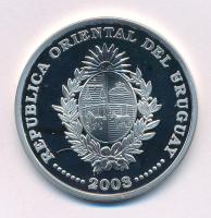 Uruguay 2003. 1000P Ag "FIFA Labdarúgó Világbajnokság 2006" kapszulában T:PP Uruguay 2003. 1000 Pesos Ag "FIFA World Cup 2006" in capsule C:PP Krause KM#122