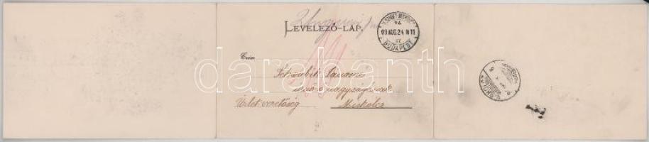 1899 Ungvár, Uzshorod, Uzhhorod, Uzhorod; 3-részes kihajtható panorámalap, Ung híd. Kohlmann Sándor ...