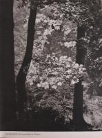 3 db könyv: Karel Novy: A kóbor vadász. Bratislava, 1969, Madách. Kiadói egészvászon-kötés, sérült k...