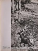 3 db könyv: Karel Novy: A kóbor vadász. Bratislava, 1969, Madách. Kiadói egészvászon-kötés, sérült k...