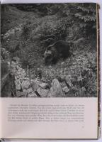 3 db könyv: Karel Novy: A kóbor vadász. Bratislava, 1969, Madách. Kiadói egészvászon-kötés, sérült k...