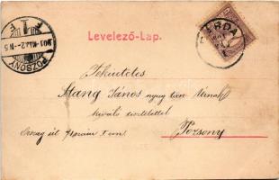 1901 Dárda, Fő utca. Rechnitzer Ottokár fénynyomdája kiadása / main street (fl)