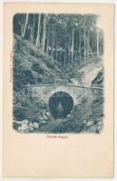 Székul, Szék, Sekul, Secul, Secu (Resicabánya, Resita); Szekul vasúti alagút. Braumüller L. kiadása / railway tunnel (fl)