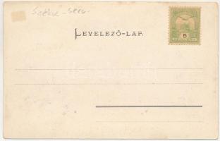 Székul, Szék, Sekul, Secul, Secu (Resicabánya, Resita); Szekul vasúti alagút. Braumüller L. kiadása ...