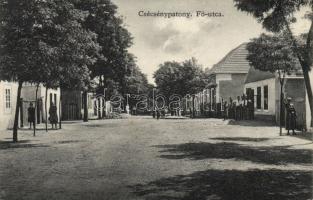 Csécsénypatony main street