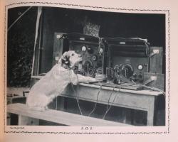 1933 Hajmáskér, "Legjobbjaink emlékére", a hajmáskéri tüzérségi kiképző laktanya albuma, e...