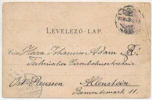 1899 Herkulesfürdő, Baile Herculane; Fürdő, gyógyterem. Szecessziós-virágos litho Franck kávépótló r...