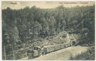 1930 Resicabánya, Resica, Resicza, Resita; Cale ferata forestiera / erdei vasút, iparvasút, gőzmozdony, vonat. Otto Schwarz kiadása / Waldbahn / forest railway, industrial railway, train, locomotive (EK)