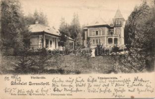 Borszék Villa Török and Urmánczi (EB)