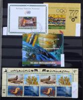 1969-2007 ENSZ gyűjtemény sorokkal és blokkokkal, benne összesen 234 db bélyeg és 9 db blokk (Mi EUR 307.-)