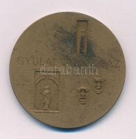 Lapis András (1942-) DN "Gyulai Várszínház" kétoldalas bronz emlékérem (42,5mm) T:AU