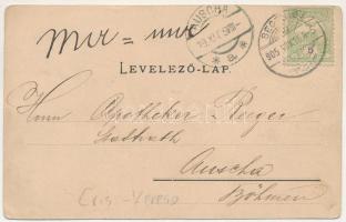 1905 Keresd, Cris, Kreisch, Kreis; látkép, Bethlen kastély. Hermann G. Roth felvétele / general view...