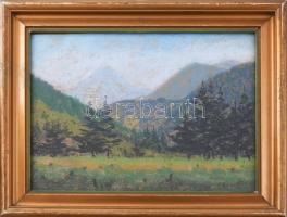 Hatvani Perlusz Gyula (1896-1944): Erdélyi táj, 1940-es évek eleje. Pasztell, papír, jelezve jobbra lent, üvegezett fakeretben, 23×31 cm