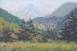 Hatvani Perlusz Gyula (1896-1944): Erdélyi táj, 1940-es évek eleje. Pasztell, papír, jelezve jobbra ...