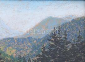 Hatvani Perlusz Gyula (1896-1944): Erdélyi táj, 1940-es évek eleje. Pasztell, papír, jelezve jobbra ...