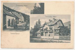 1911 Tusnádfürdő, Baile Tusnad; Temesváry villák. Brunner Lajos kiadása / villas (fl)