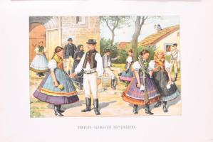 Zemplén vármegye és Sátoraljaújhely r. t. város. Szerk.: Dr. Borovszky Samu. Magyarország vármegyéi ...