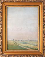 Szőnyi jelzéssel: Táj. Olaj, karton. Dekoratív, antik, kissé sérült fakeretben, 40×30 cm.